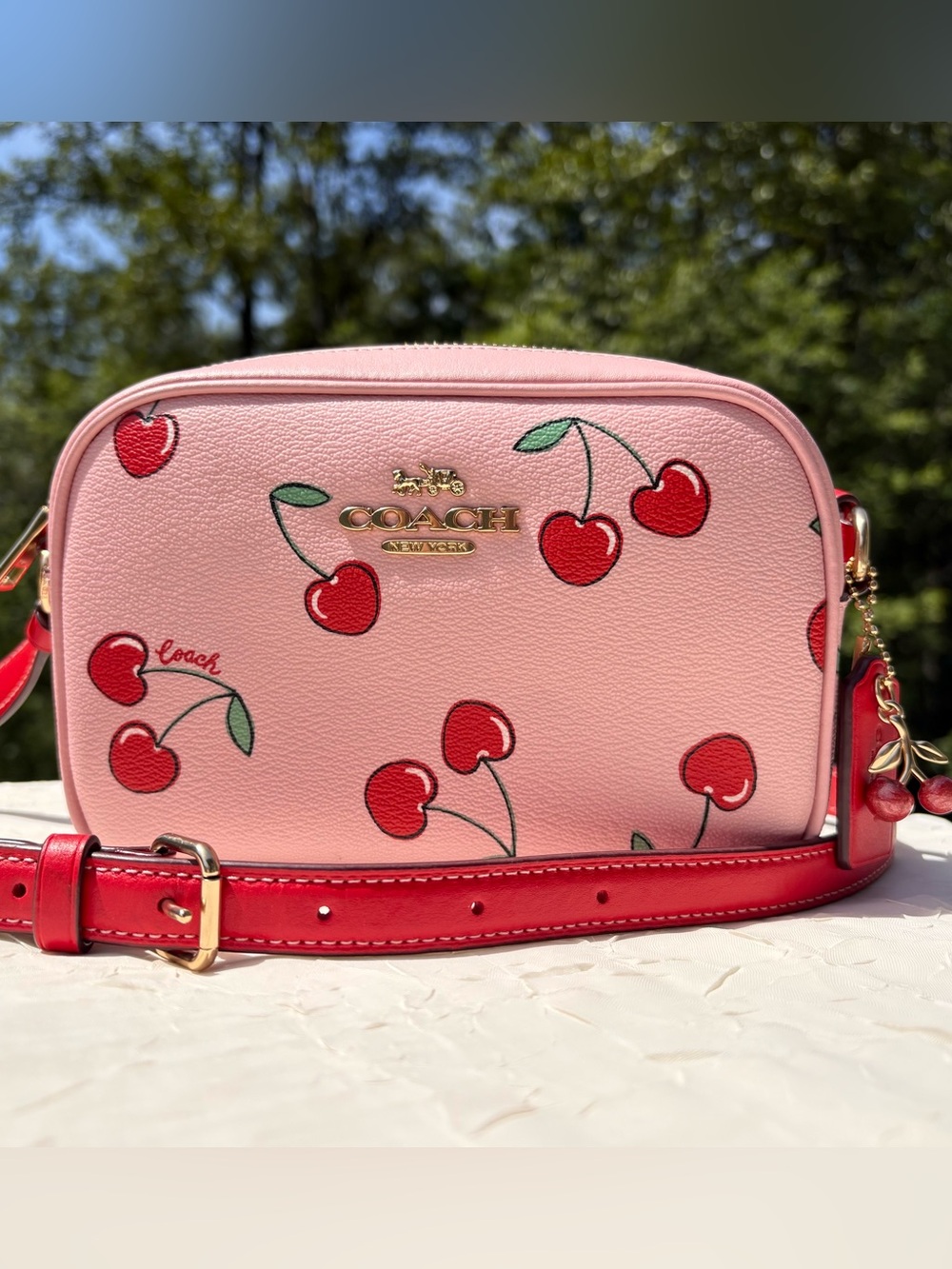 COACH Jamie Camera Bag With Heart Cherry Print & Cherry Charm CE655